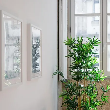 Apartment Guestready - Rnb Porto